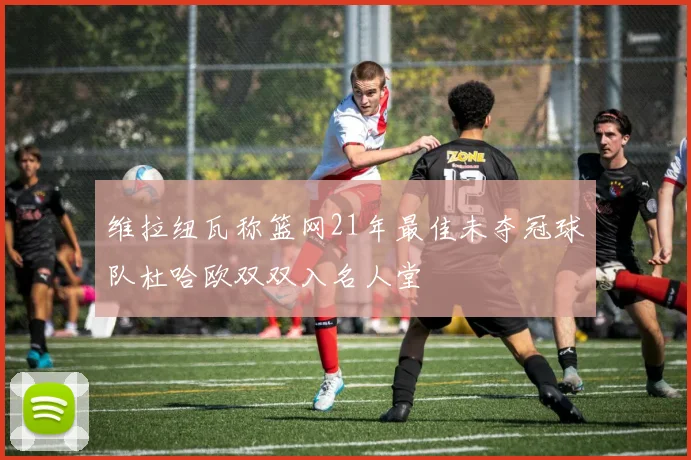 维拉纽瓦称篮网21年最佳未夺冠球队杜哈欧双双入名人堂