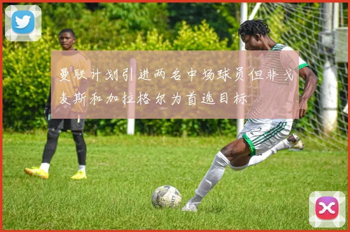 曼联计划引进两名中场球员但非戈麦斯和加拉格尔为首选目标