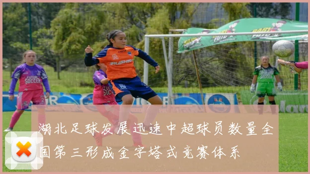 湖北足球发展迅速中超球员数量全国第三形成金字塔式竞赛体系