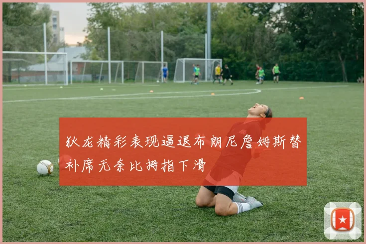 狄龙精彩表现逼退布朗尼詹姆斯替补席无奈比拇指下滑