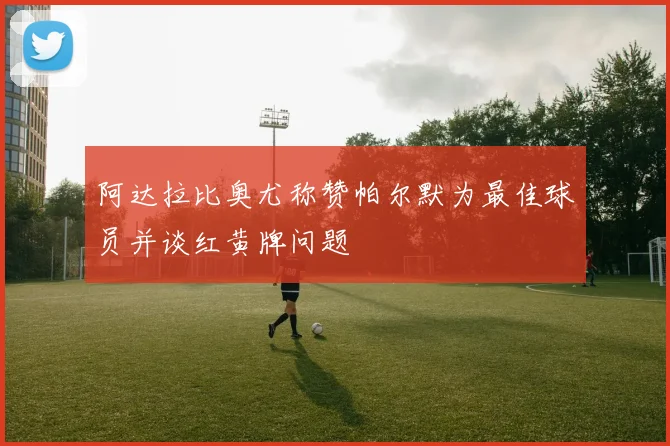 阿达拉比奥尤称赞帕尔默为最佳球员并谈红黄牌问题