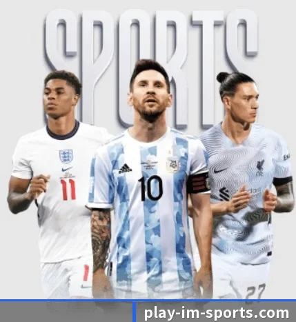 五大服务分区,信息按项目分类 | IMSPORTS